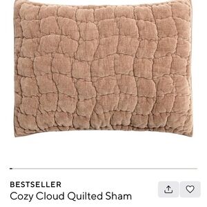 Pottery barn cozy cloud standard size sham Rosewood